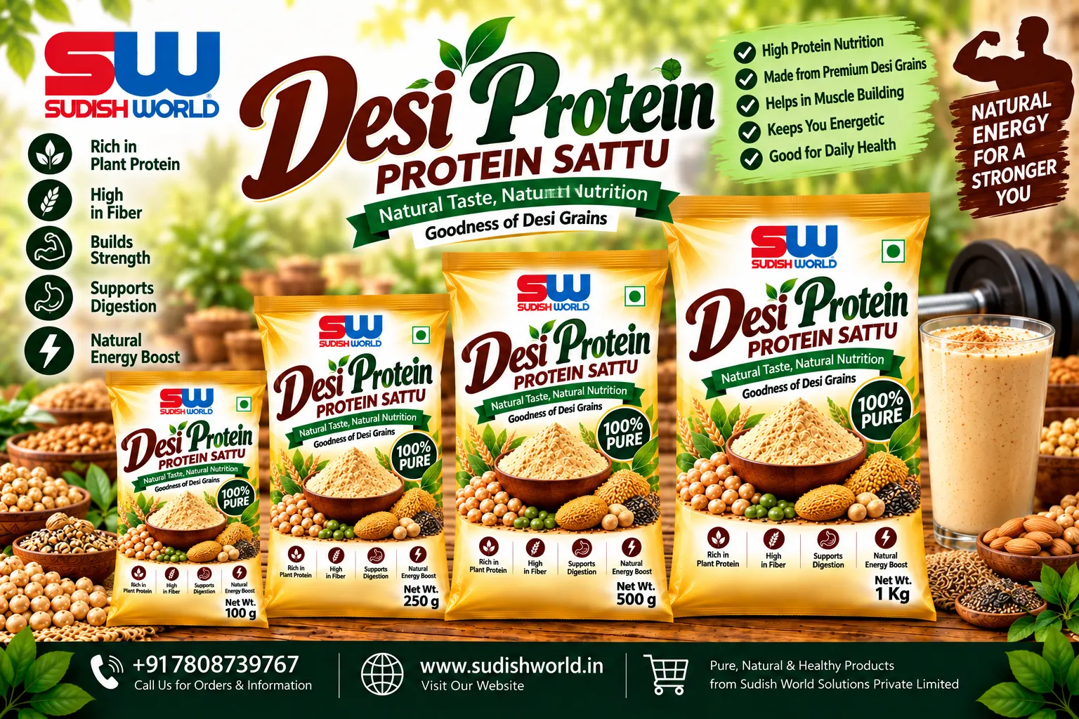 Desi Protein (Protein Sattu)